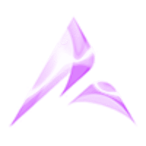 RAJAMAXWIN55